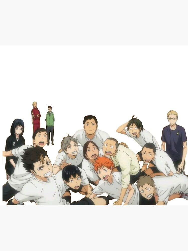 Haikyu!! Season 2 Key Art Throw Blanket – Shadow Anime