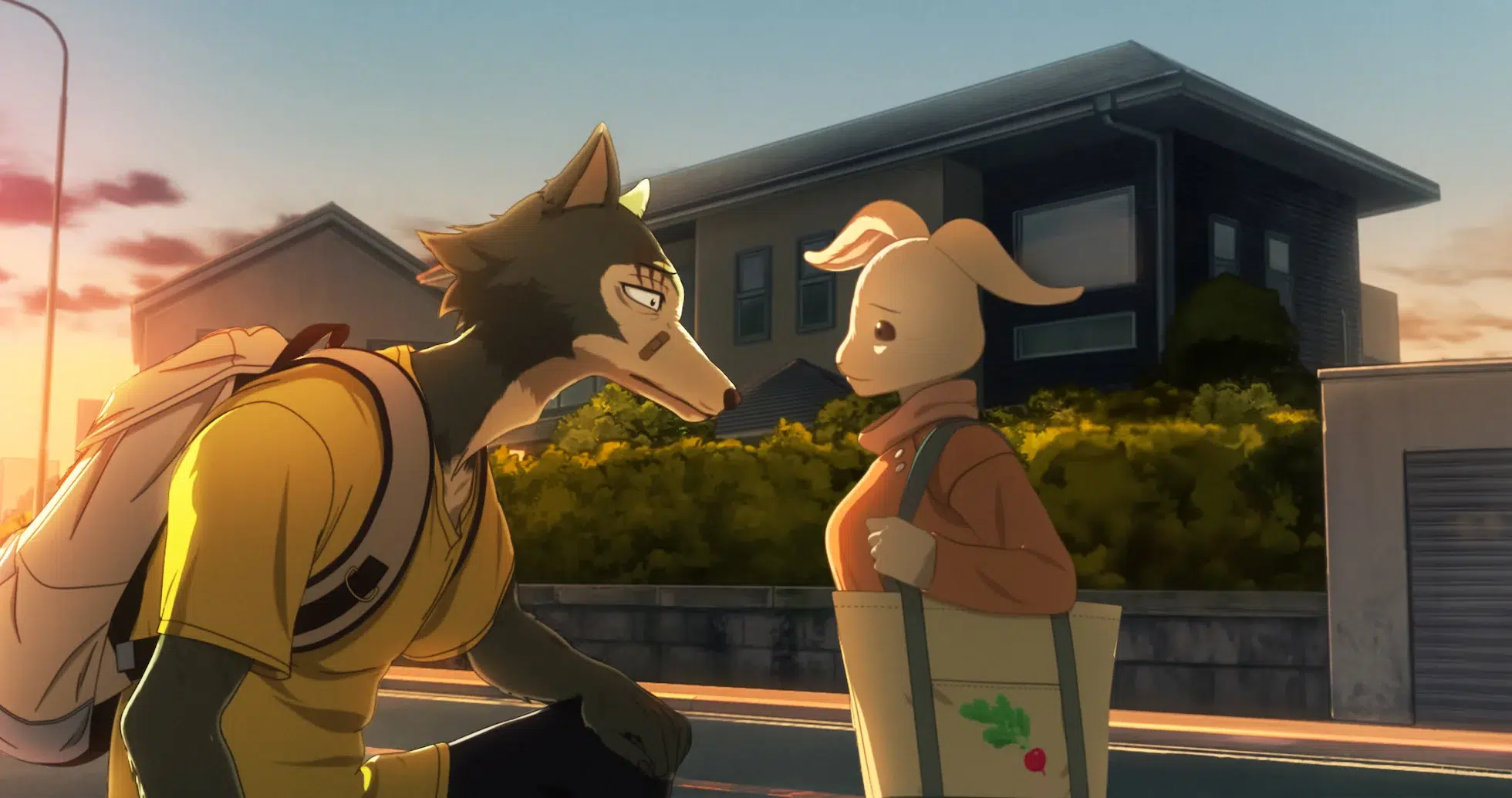 beastars netflix final season delayed - Anime Bedding